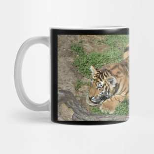 Tiger Cub Mug